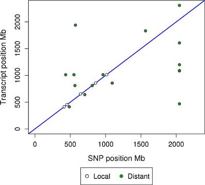 Integrated Genome-Wide Analysis of MicroRNA Expression Quantitative Trait Loci in Pig Longissimus Dorsi Muscle